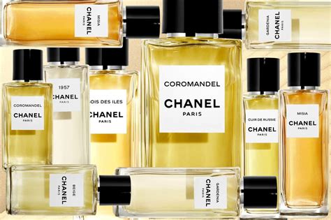 les exclusifs de chanel summary